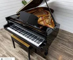 Danemann 206 Grand Piano w/ Video